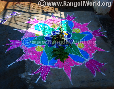 Pongal festival freehand rangoli jan2017